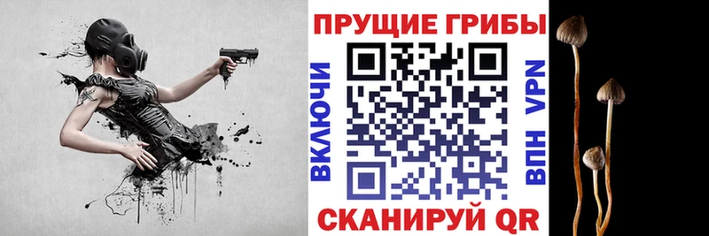 Галлюциногенные грибы Psilocybe  OMG сайт  Ленинск 